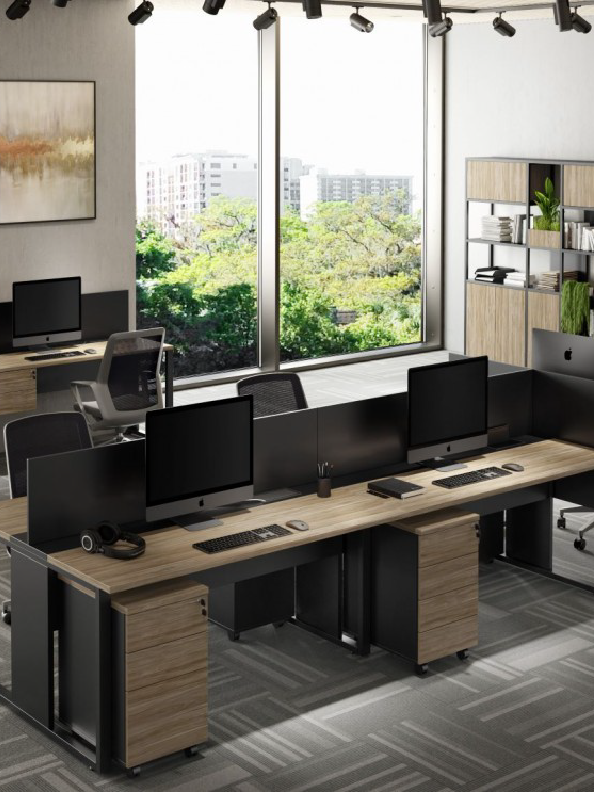 Estacion de Trabajo Express